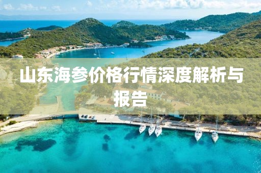 山东海参价格行情深度解析与报告
