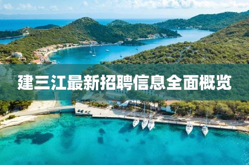 建三江最新招聘信息全面概览
