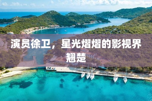 演员徐卫，星光熠熠的影视界翘楚