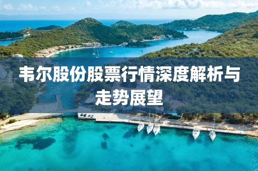 韦尔股份股票行情深度解析与走势展望