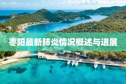 梨花未盛开 第10页