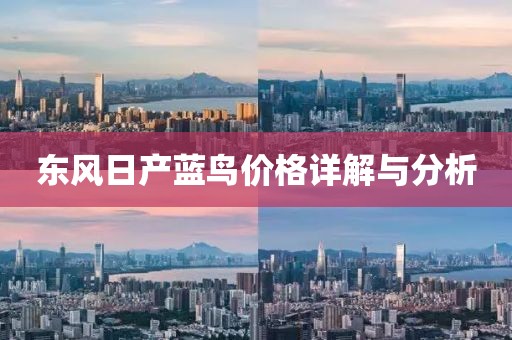 东风日产蓝鸟价格详解与分析