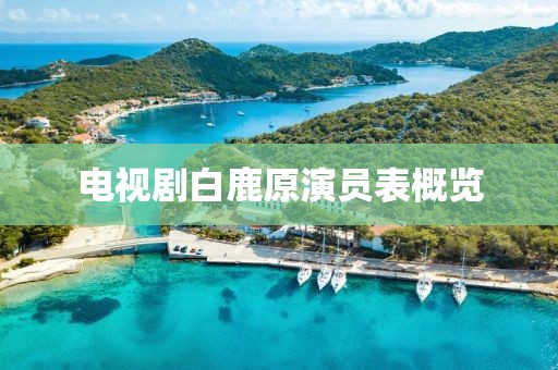 电视剧白鹿原演员表概览