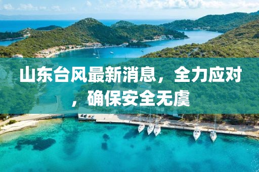 山东台风最新消息，全力应对，确保安全无虞