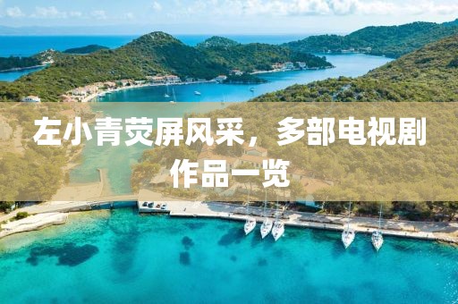 左小青荧屏风采，多部电视剧作品一览