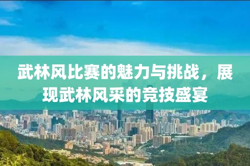 武林风比赛的魅力与挑战，展现武林风采的竞技盛宴