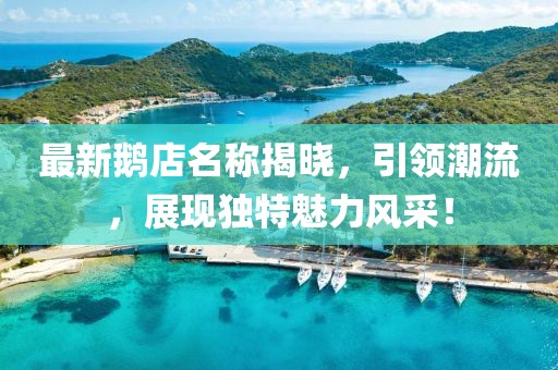 最新鹅店名称揭晓，引领潮流，展现独特魅力风采！