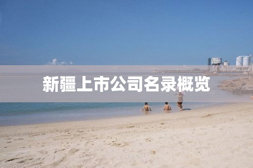 新疆上市公司名录概览