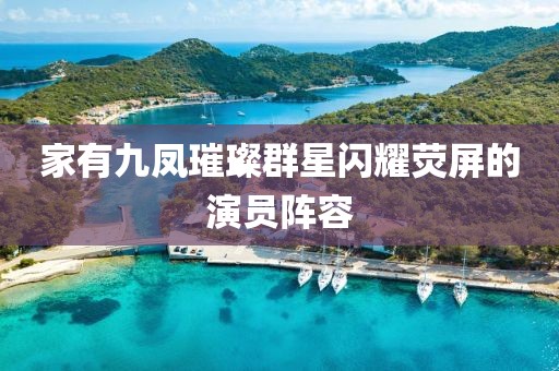家有九凤璀璨群星闪耀荧屏的演员阵容