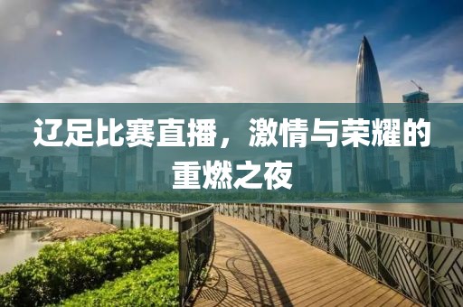辽足比赛直播，激情与荣耀的重燃之夜