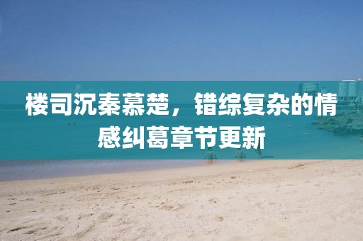 楼司沉秦慕楚，错综复杂的情感纠葛章节更新