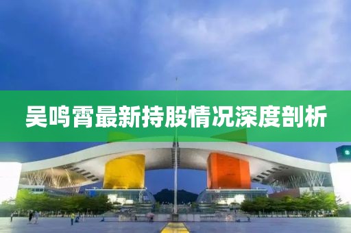 吴鸣霄最新持股情况深度剖析