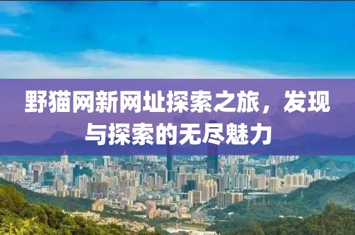 野猫网新网址探索之旅，发现与探索的无尽魅力