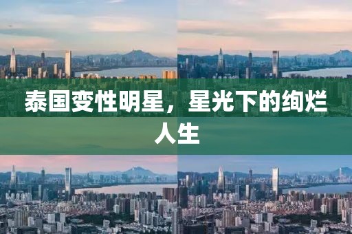 泰国变性明星，星光下的绚烂人生