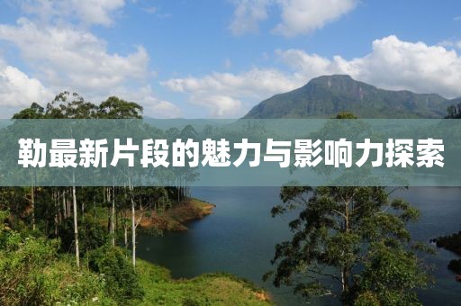 勒最新片段的魅力与影响力探索