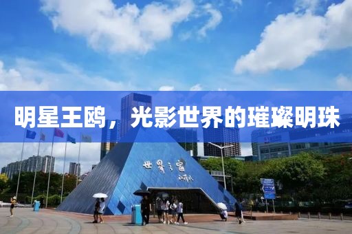 明星王鸥，光影世界的璀璨明珠
