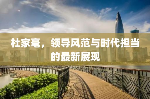杜家毫，领导风范与时代担当的最新展现