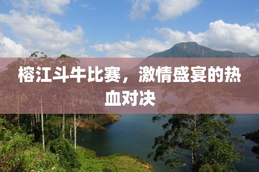 榕江斗牛比赛，激情盛宴的热血对决