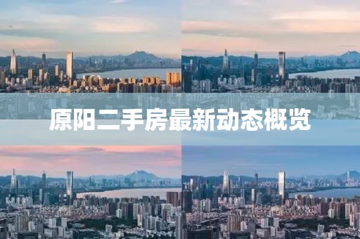 原阳二手房最新动态概览