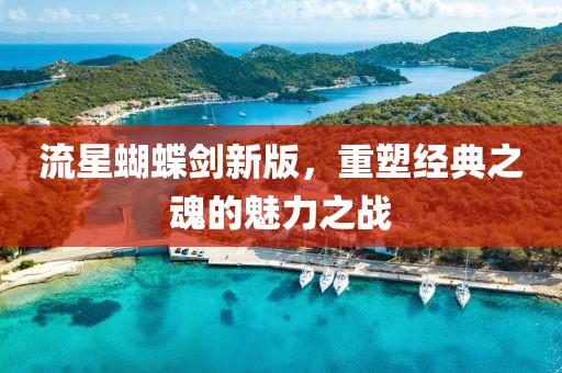 流星蝴蝶剑新版，重塑经典之魂的魅力之战