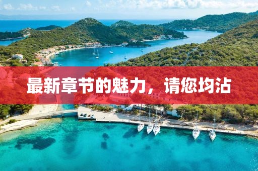 最新章节的魅力，请您均沾