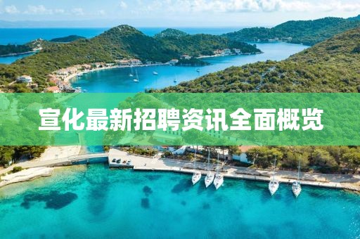 宣化最新招聘资讯全面概览