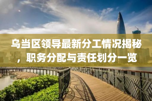 乌当区领导最新分工情况揭秘，职务分配与责任划分一览