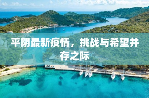 平阴最新疫情，挑战与希望并存之际