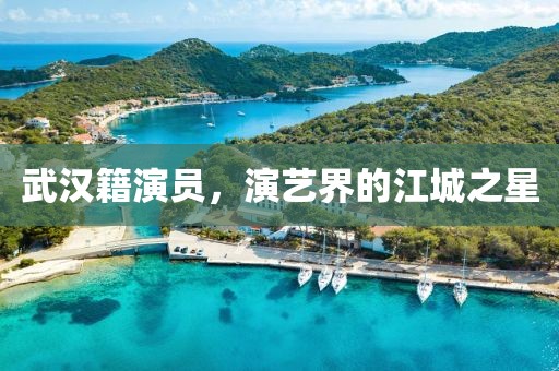 武汉籍演员，演艺界的江城之星