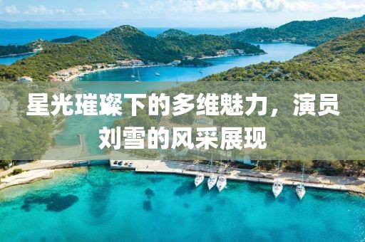 星光璀璨下的多维魅力，演员刘雪的风采展现