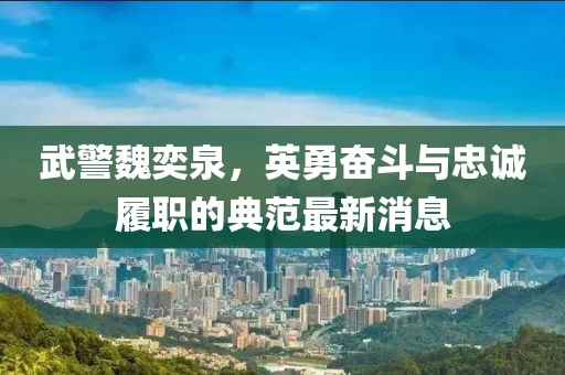 武警魏奕泉，英勇奋斗与忠诚履职的典范最新消息