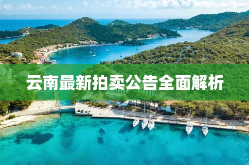 云南最新拍卖公告全面解析