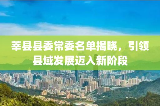 莘县县委常委名单揭晓，引领县域发展迈入新阶段