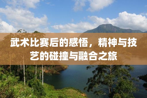 武术比赛后的感悟，精神与技艺的碰撞与融合之旅