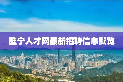 睢宁人才网最新招聘信息概览