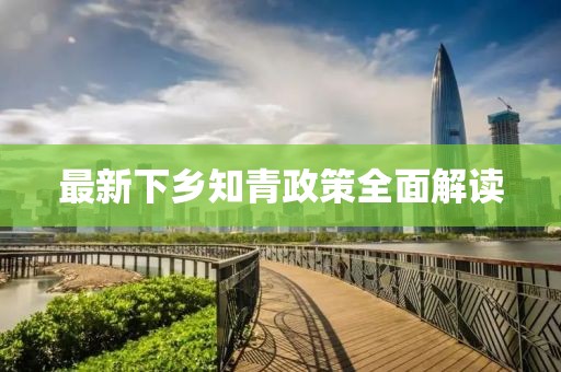 最新下乡知青政策全面解读