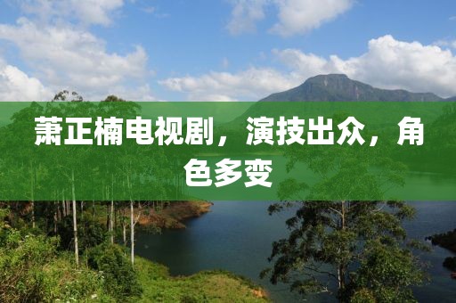 萧正楠电视剧，演技出众，角色多变