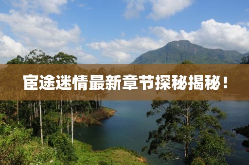 宦途迷情最新章节探秘揭秘！