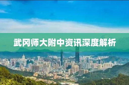 武冈师大附中资讯深度解析