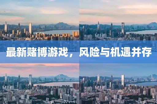 最新赌博游戏，风险与机遇并存