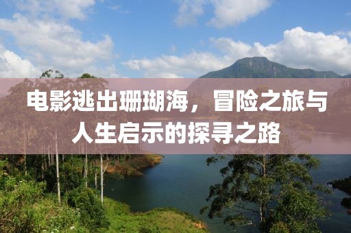 电影逃出珊瑚海，冒险之旅与人生启示的探寻之路