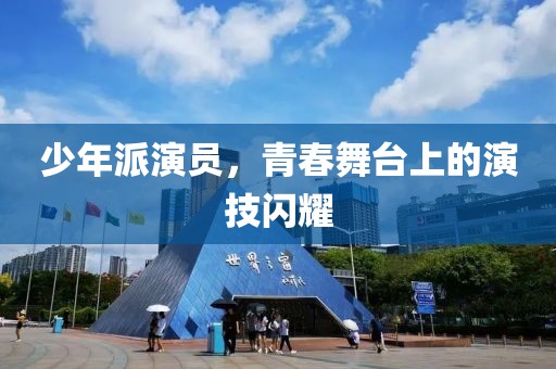 少年派演员，青春舞台上的演技闪耀