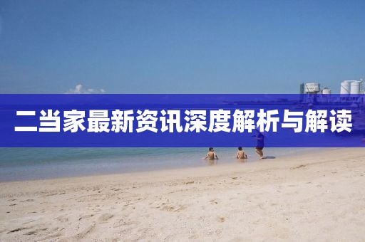 二当家最新资讯深度解析与解读