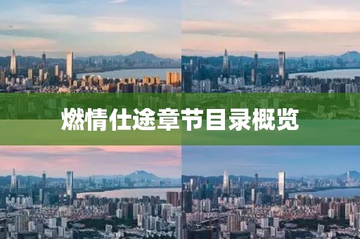 燃情仕途章节目录概览