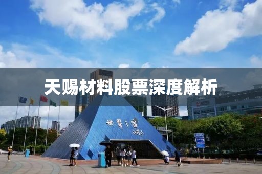 天赐材料股票深度解析