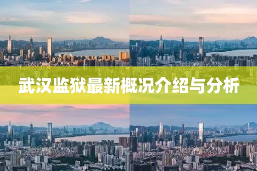 武汉监狱最新概况介绍与分析