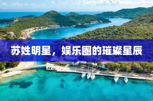 苏姓明星，娱乐圈的璀璨星辰