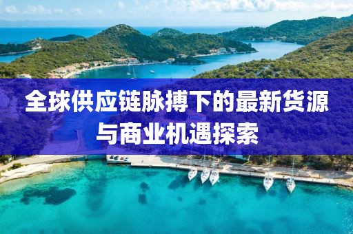 全球供应链脉搏下的最新货源与商业机遇探索