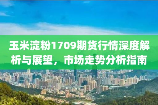 玉米淀粉1709期货行情深度解析与展望，市场走势分析指南