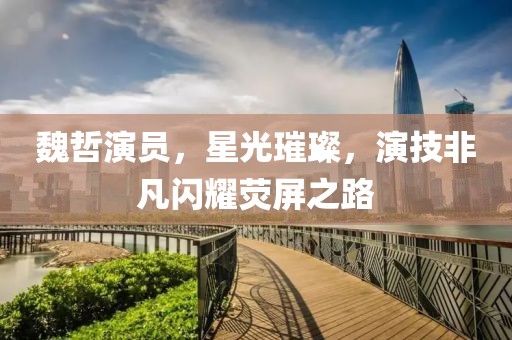 魏哲演员，星光璀璨，演技非凡闪耀荧屏之路
